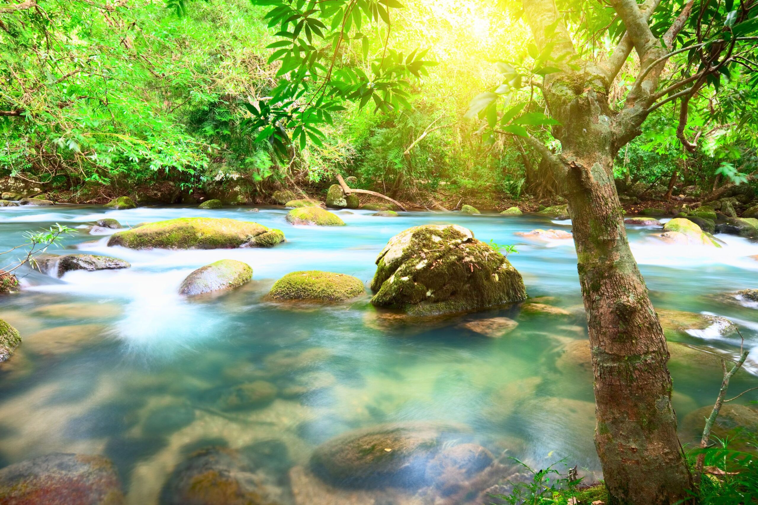 Puur natuur in Vietnam