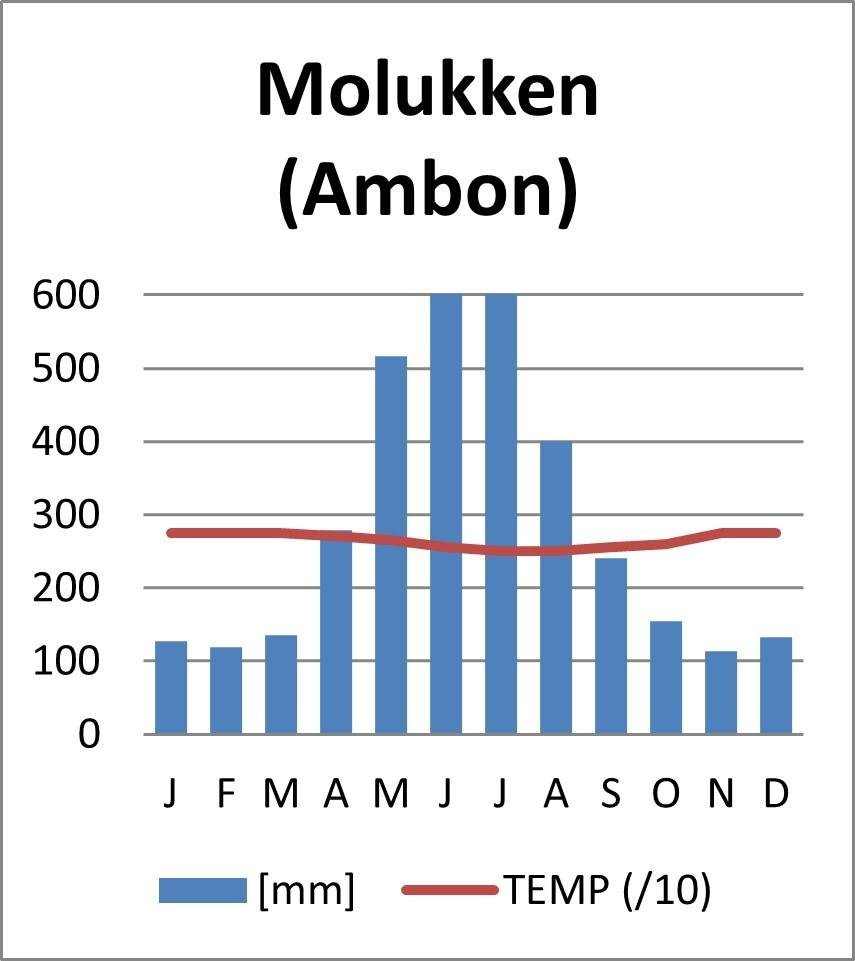 Rondreis 19 dagen duiken op Ambon en Banda