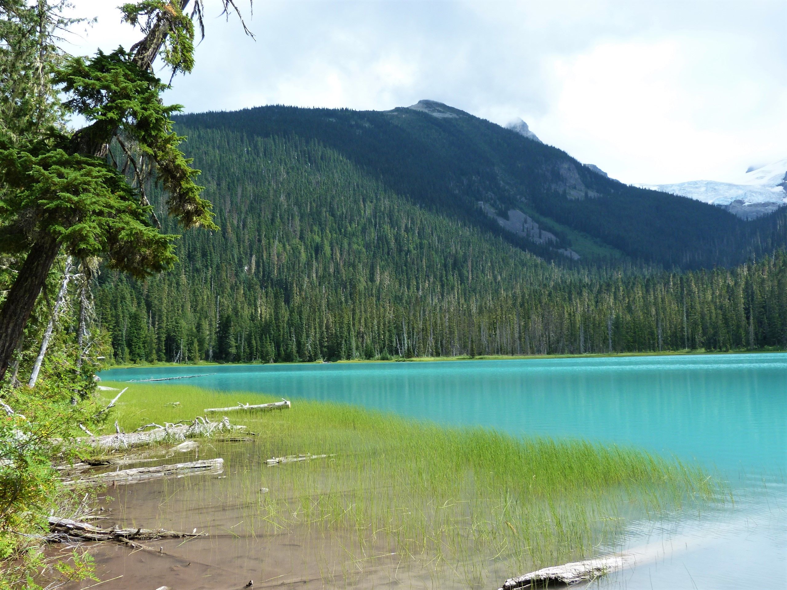West-Canada en de Rockies