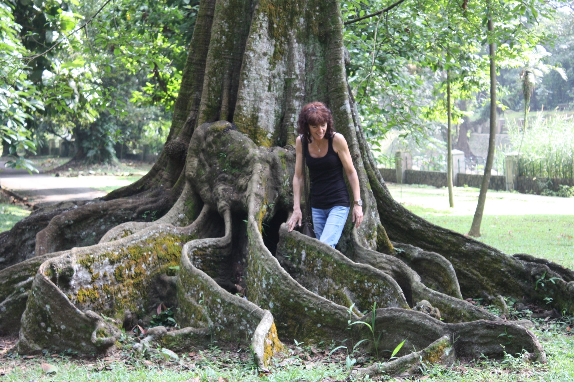 Rondreis 20 dagen Klassiek Java en Bali