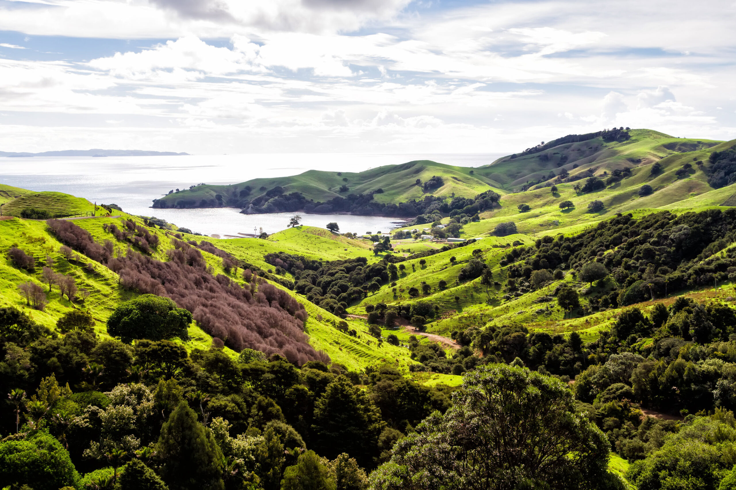 Hoogtepunten Nieuw-Zeeland