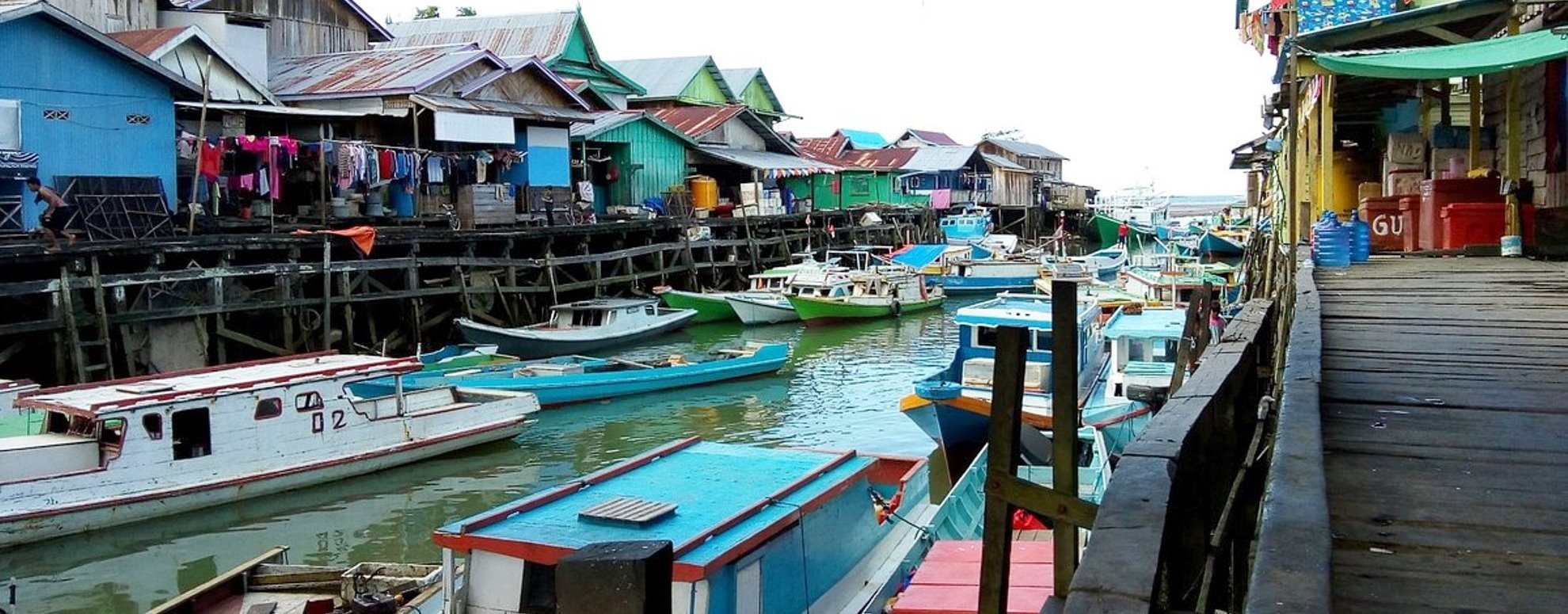Bouwsteen 7 dagen Mystic Kalimantan – Orang oetans, Dayaks, walvishaaien en veel meer