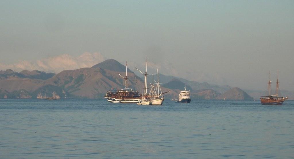 Rondreis 14 dagen duiken Sumbawa: walvishaaien, manta en veel meer