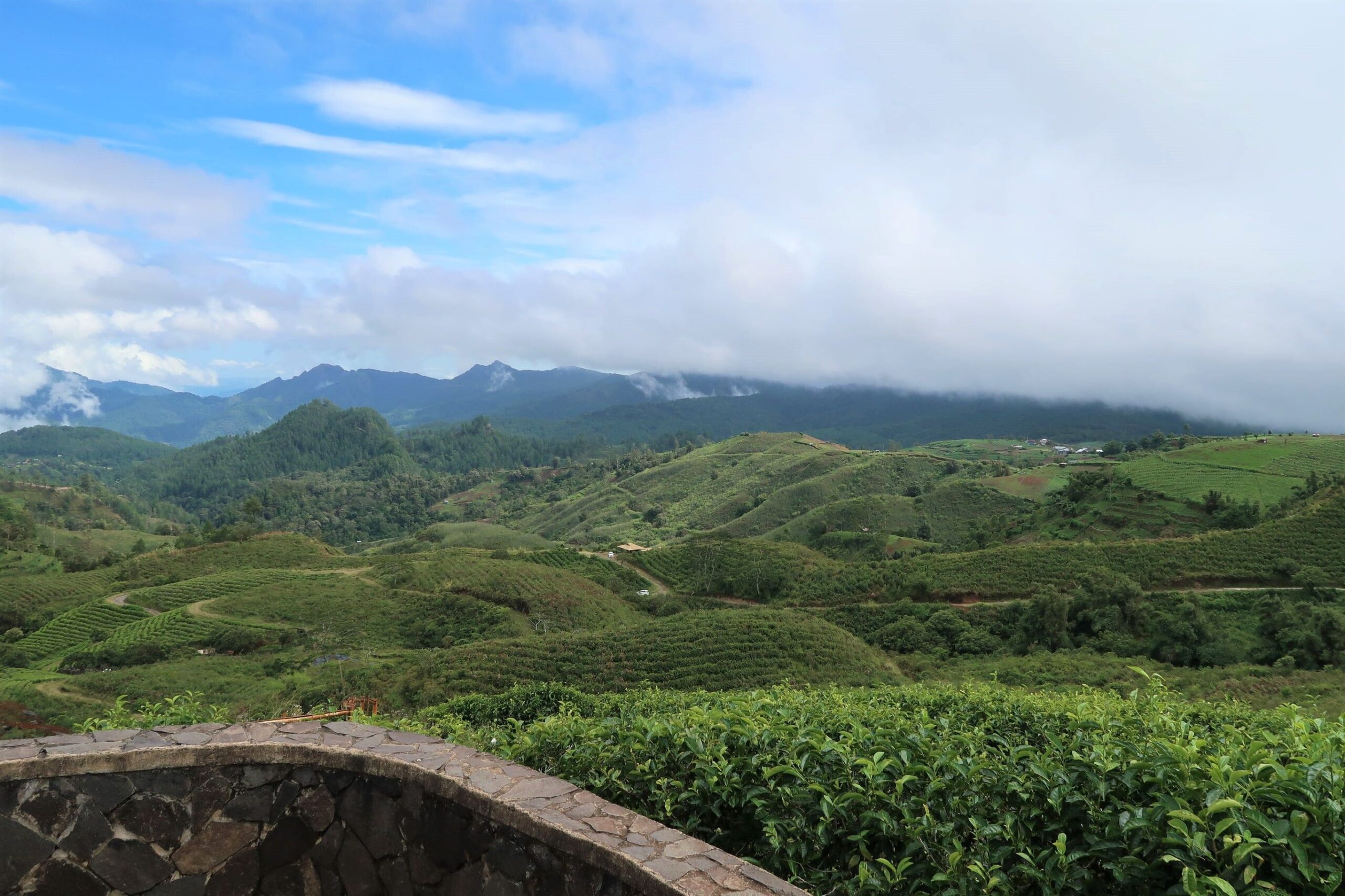 Traditioneel Sulawesi