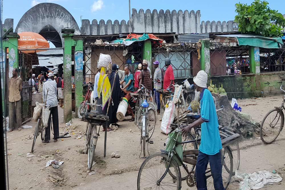 10 dagen Serengeti Trek en Zanzibar strand comfort groepssafari