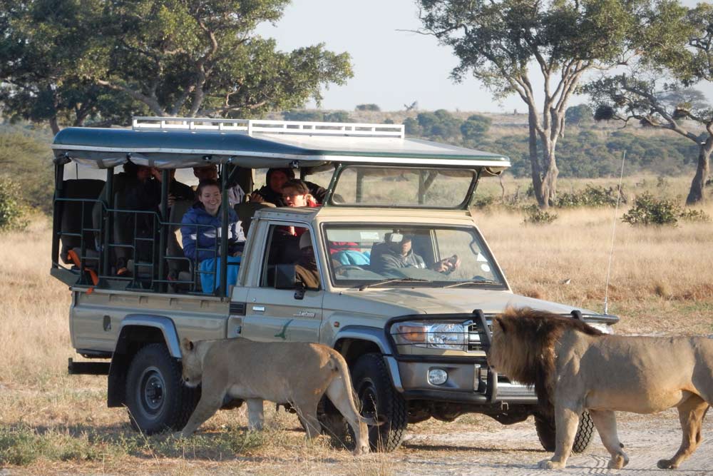 16 daagse Botswana Wildlife camping groepssafari