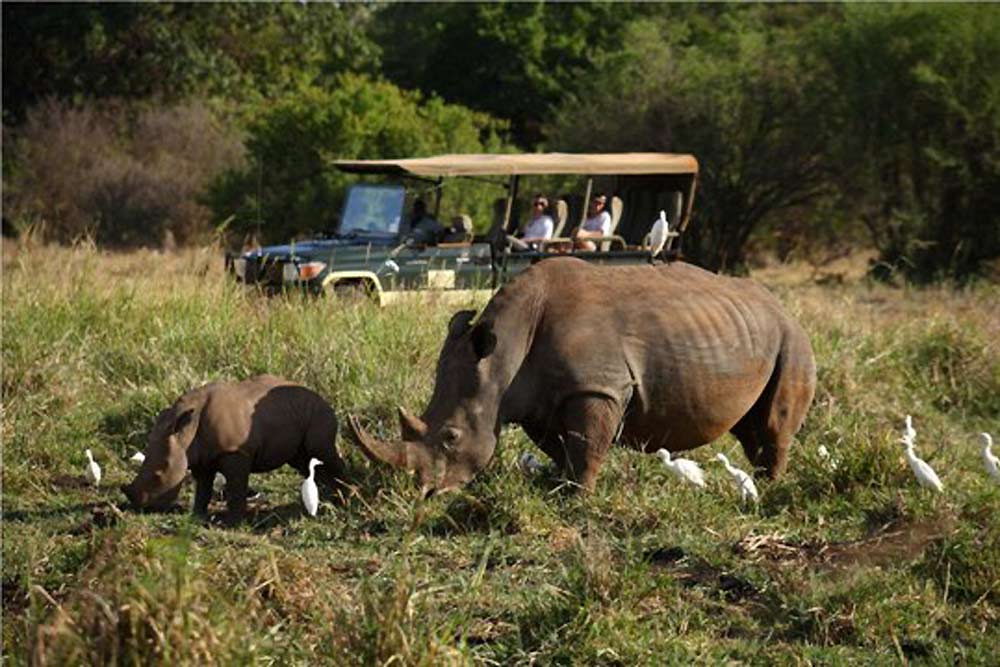 7 daagse Kenia Trails Lodge and Tented Camp groepssafari