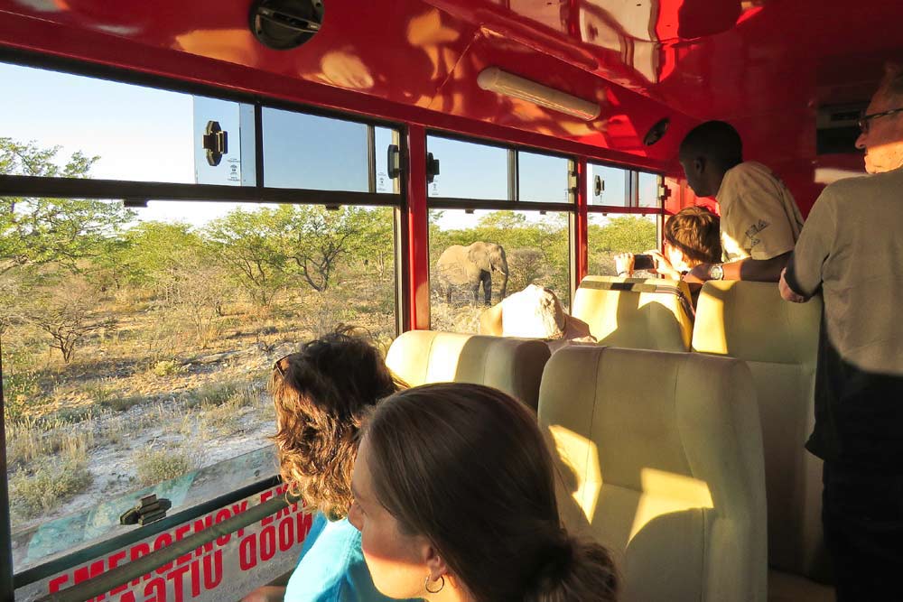 21 daagse Kaapstad naar Victoria Falls Explorer kampeer groepssafari