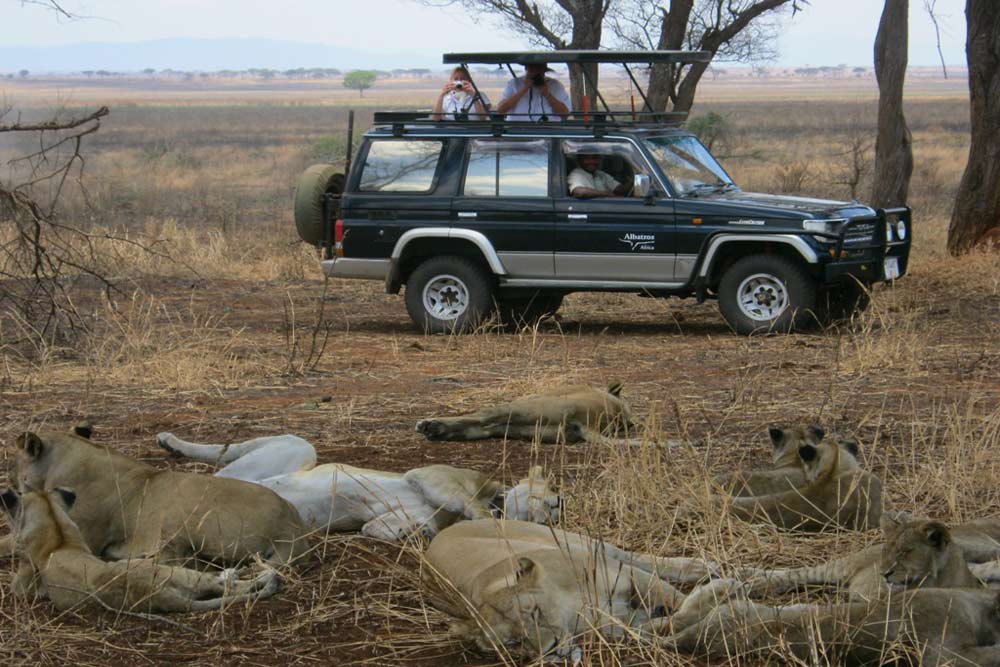 7 daagse Tanzania Trails Tented Camp en Lodge prive safari