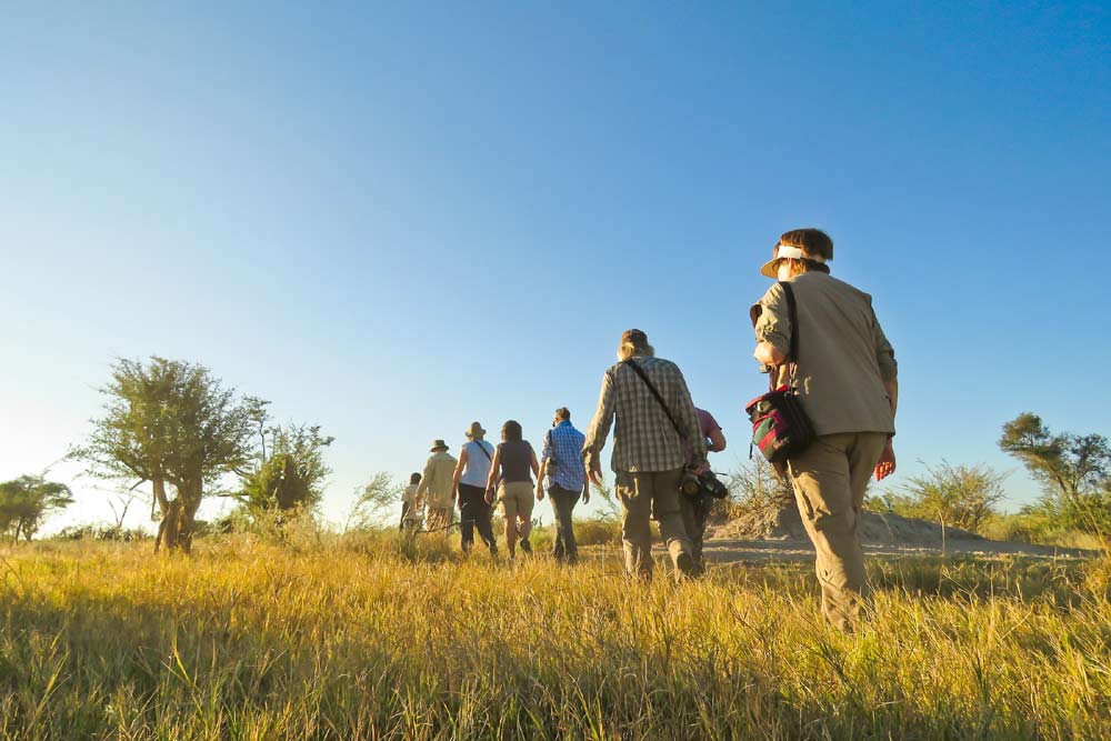 21 daagse Kaapstad naar Victoria Falls Explorer kampeer groepssafari