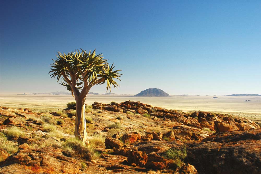 20 daagse Cape to Victoria Falls overland comfort groepssafari