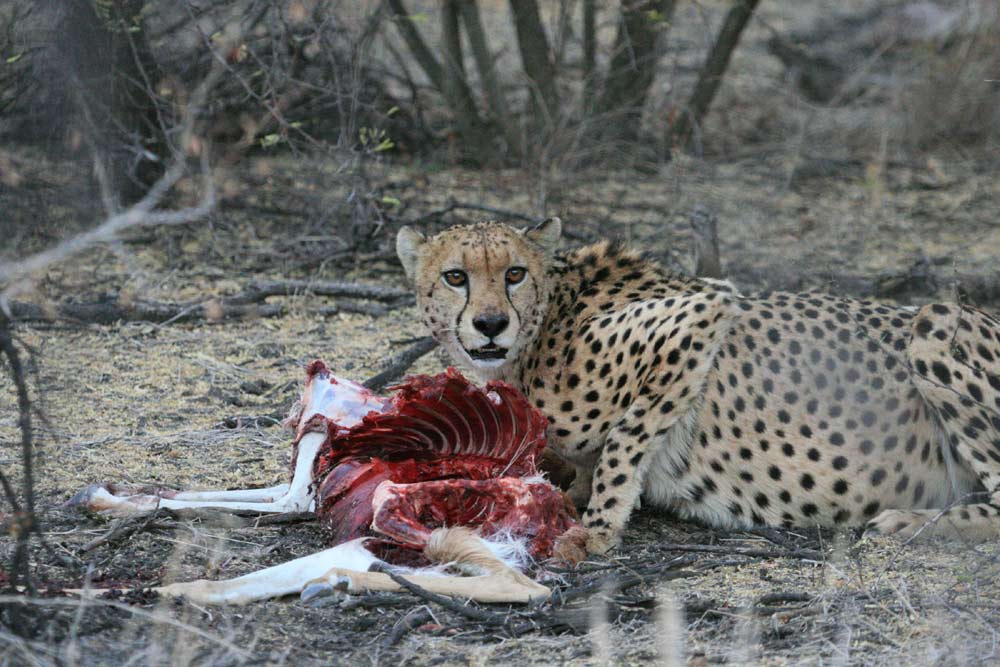 22 daagse Trade Route kampeer groepssafari Zambia – Malawi – Mozambique – Zuid-Afrika