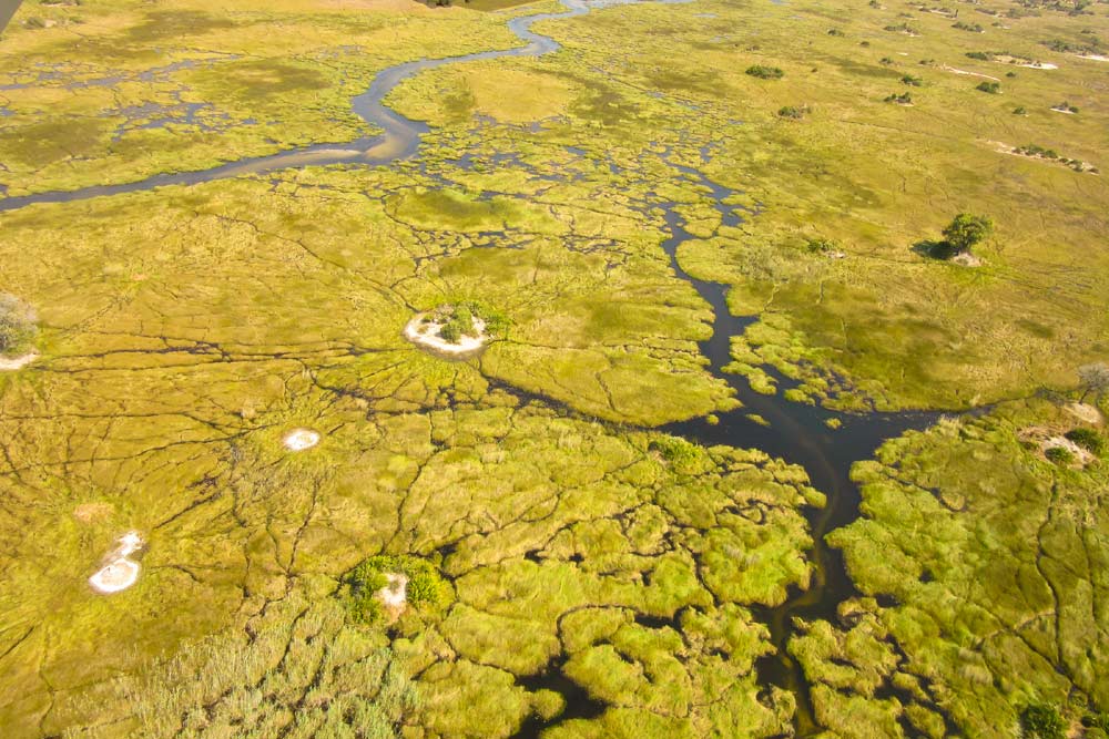 14 daagse Botswana wildside kampeer groepssafari