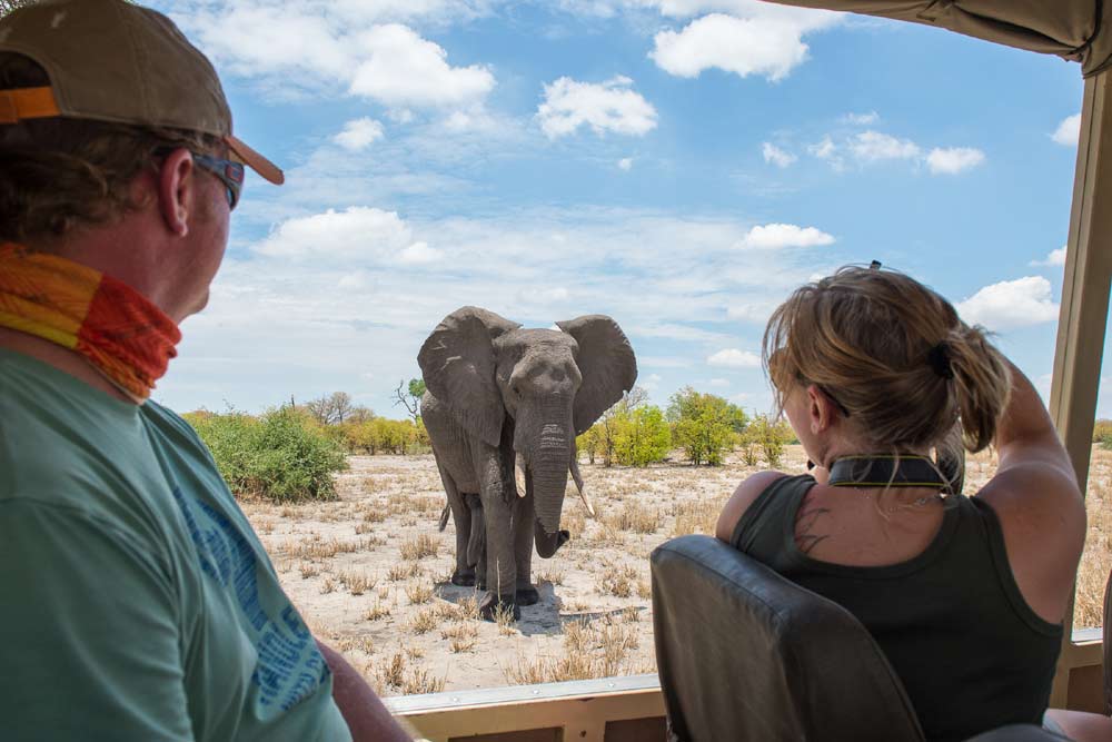 14 daagse Botswana wildside kampeer groepssafari