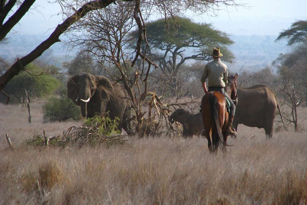 7 daagse Tanzania Trails Tented Camp en Lodge prive safari