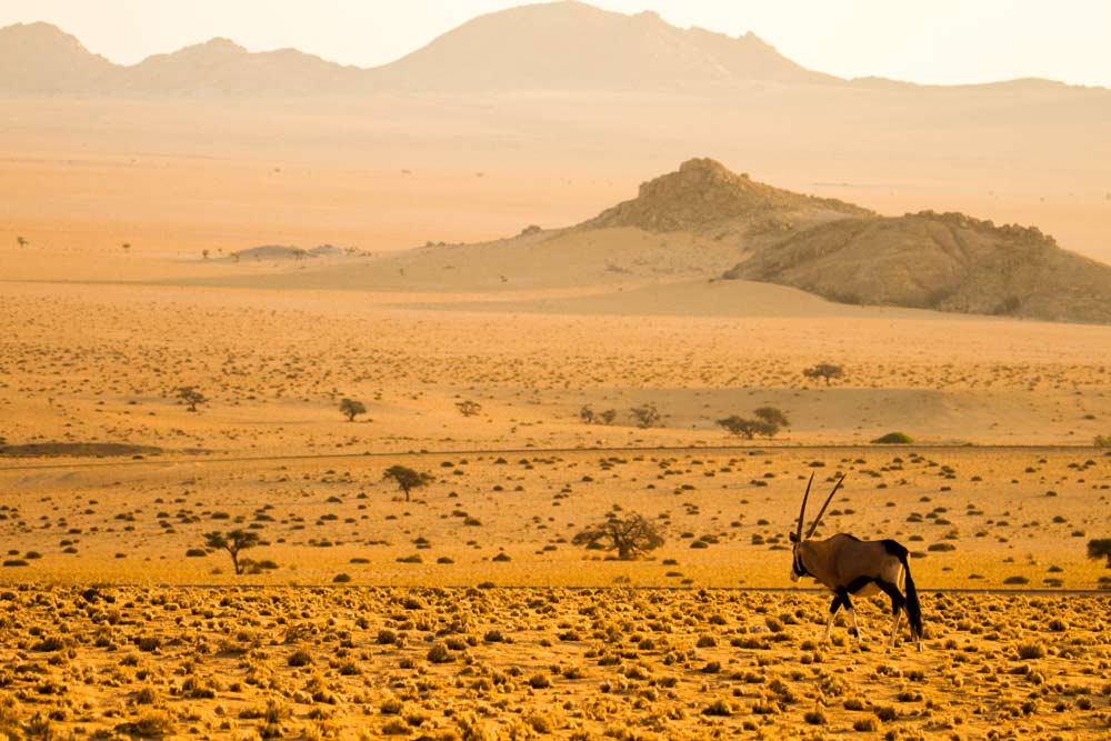 11 daagse Wild Namibia Adventure comfort groepssafari reis