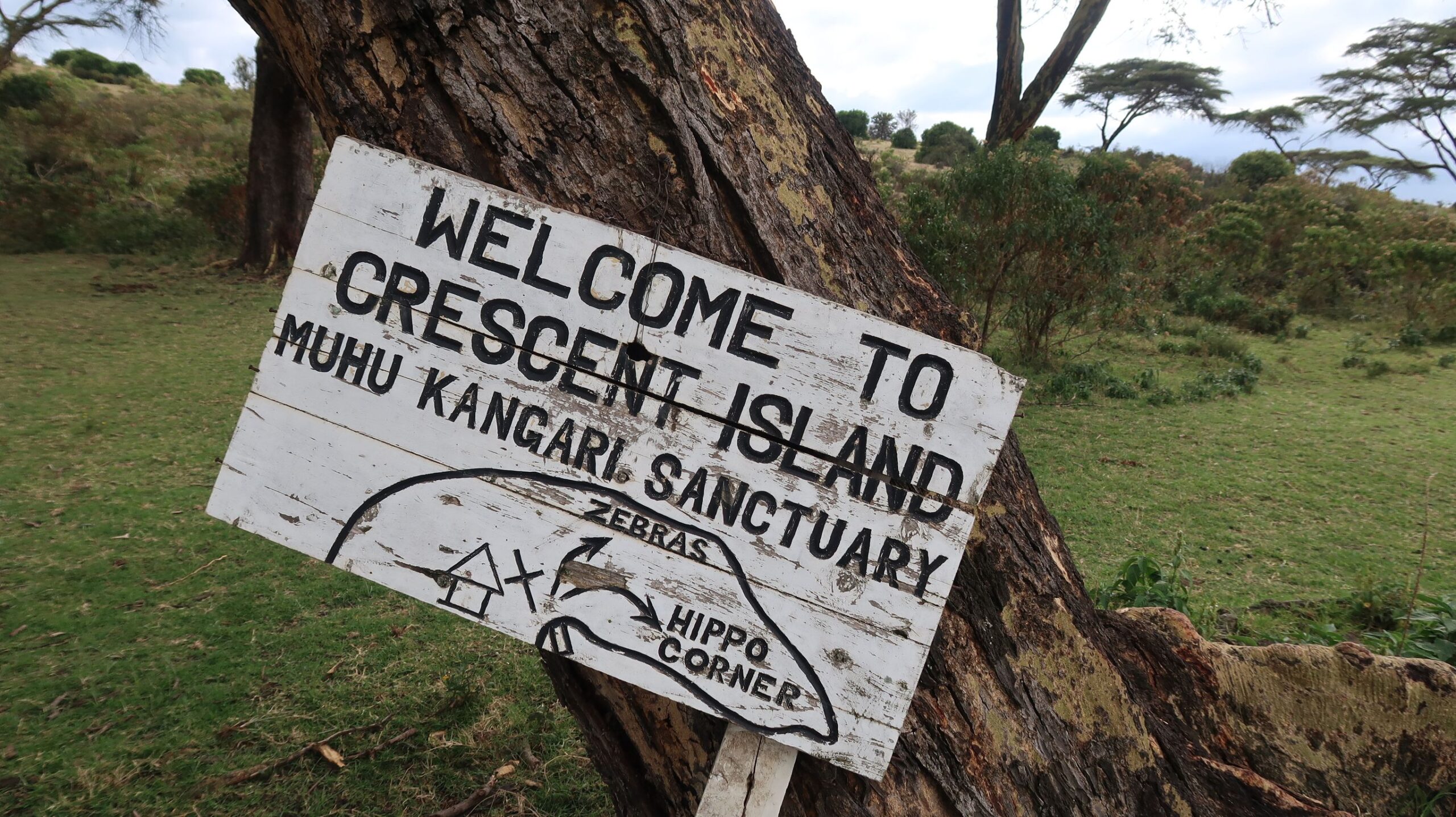 Masai Mara, Lake Nakuru, Amboseli