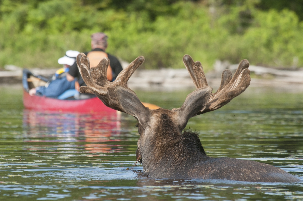 Ontario’s Lakes and Lodges