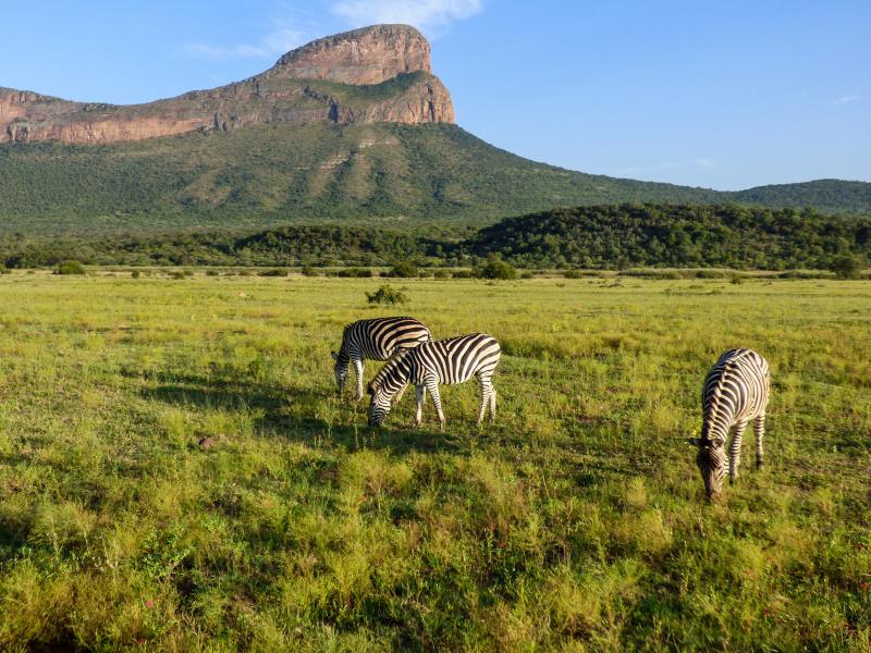 Compleet Zuid-Afrika in 4 weken