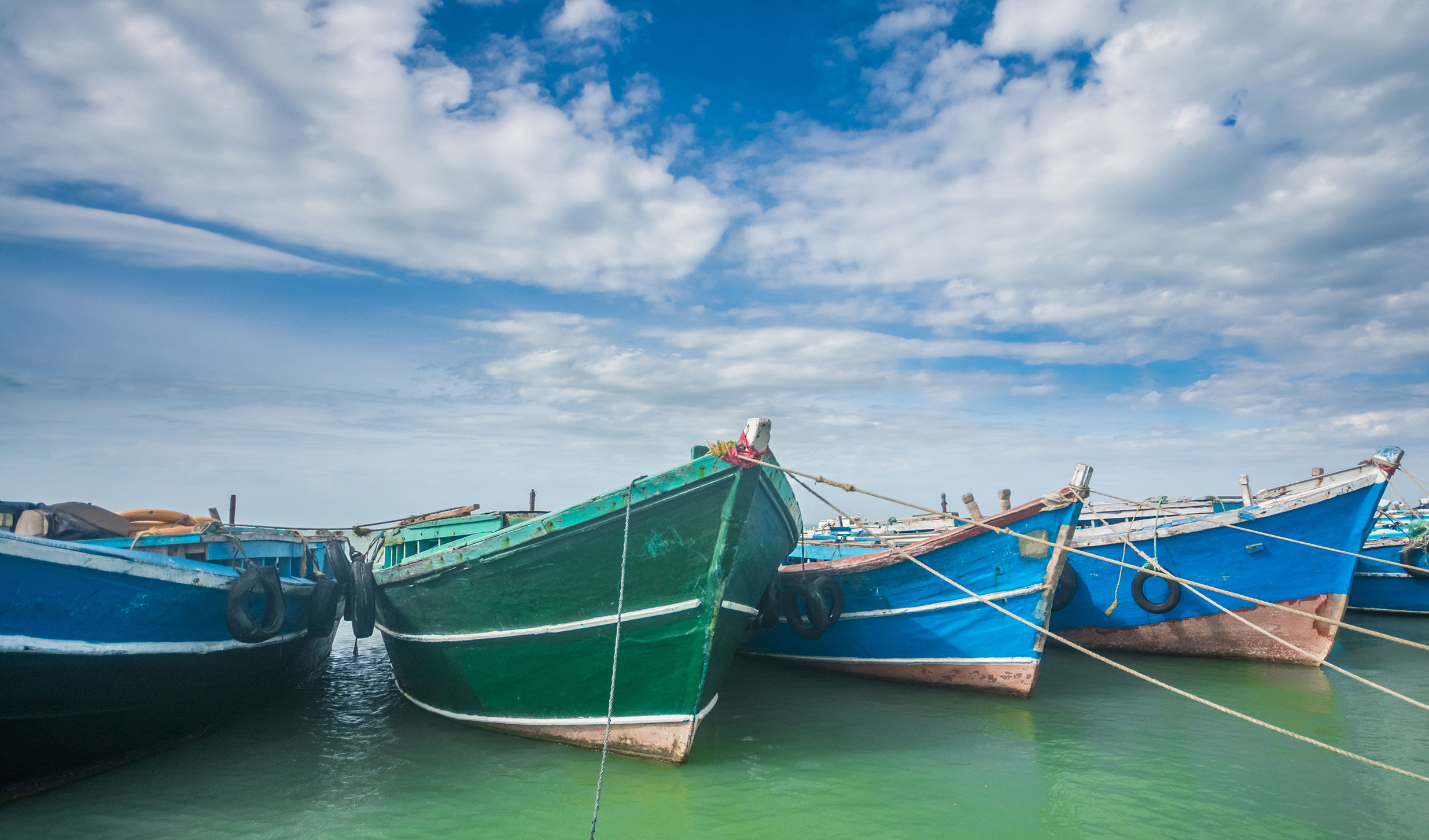 Actief en onbekend Ceylon