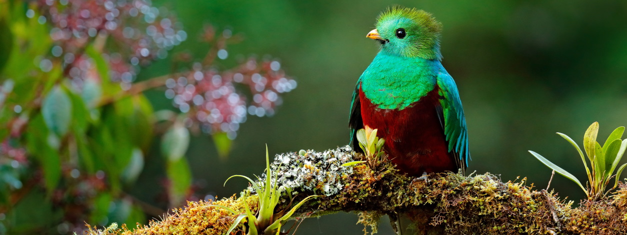 Costa Rica Adventure