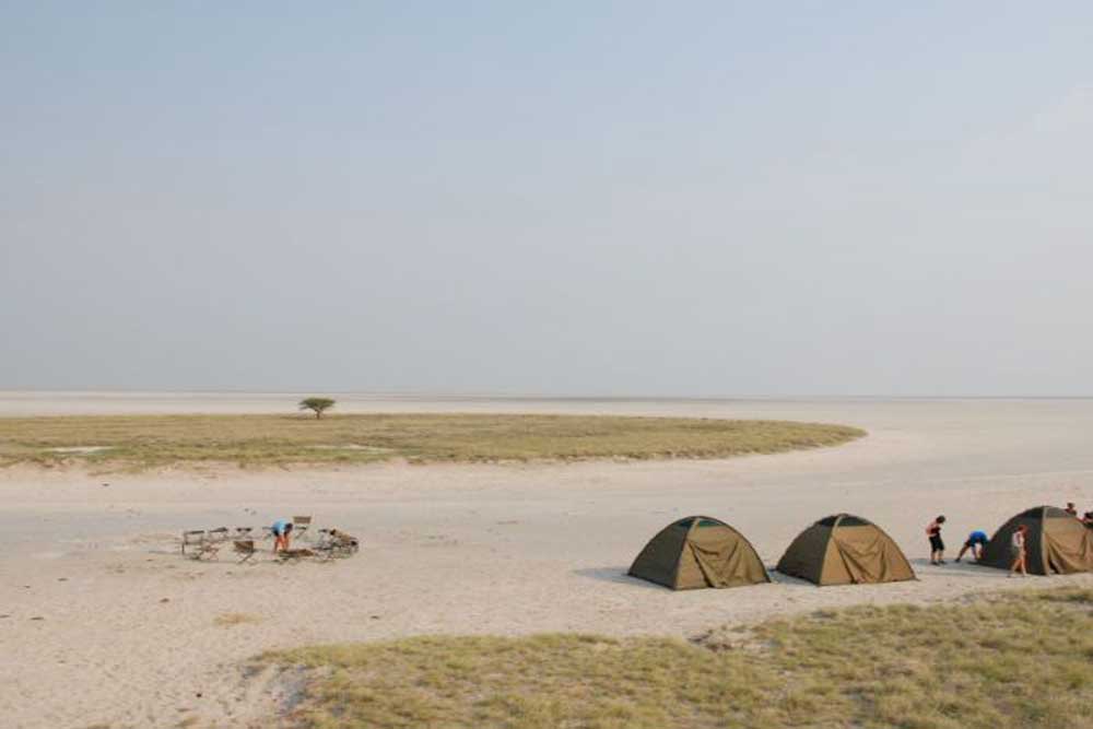 16 daagse Botswana Wildlife camping groepssafari
