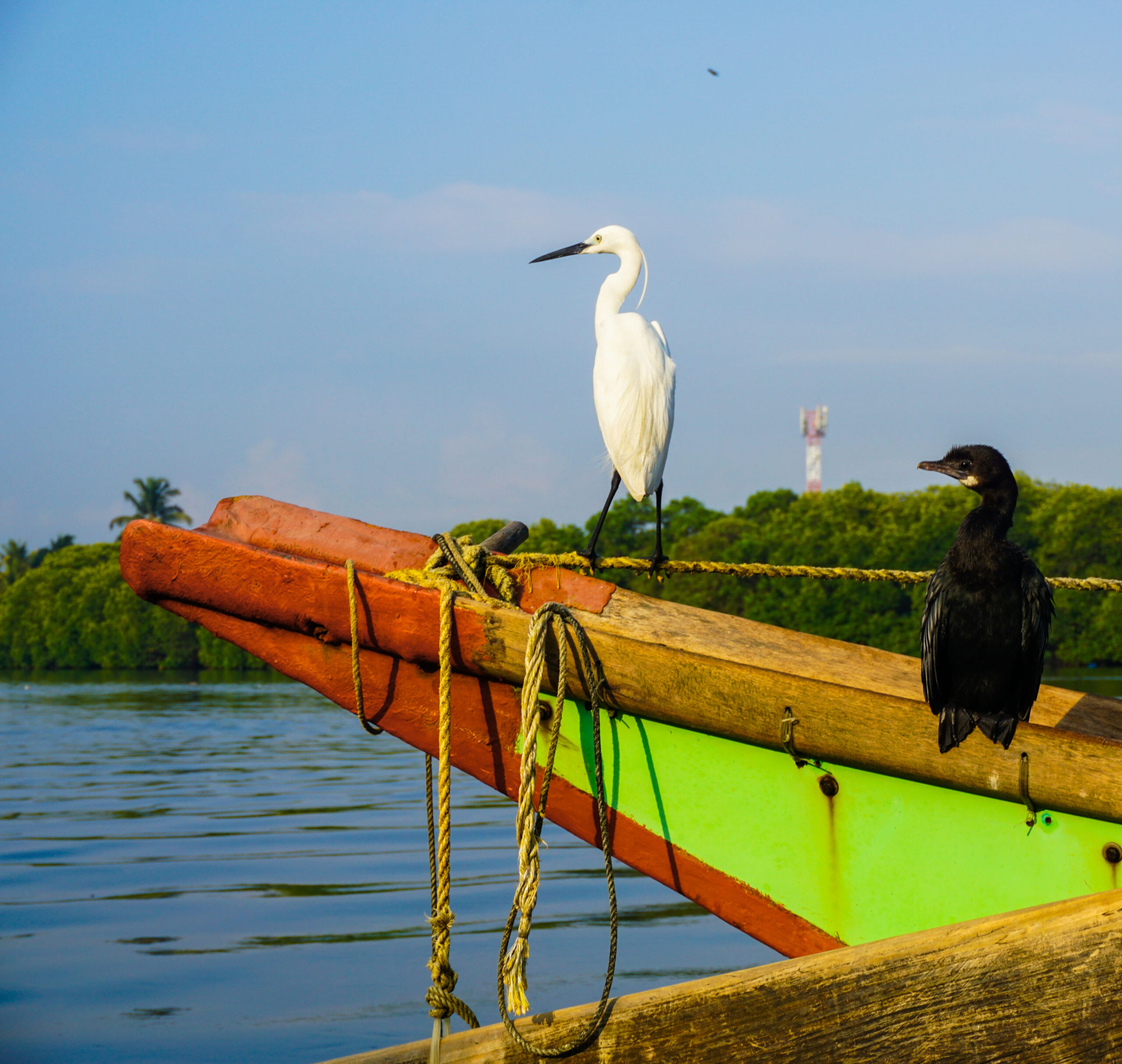 Culturele schatten van Ceylon