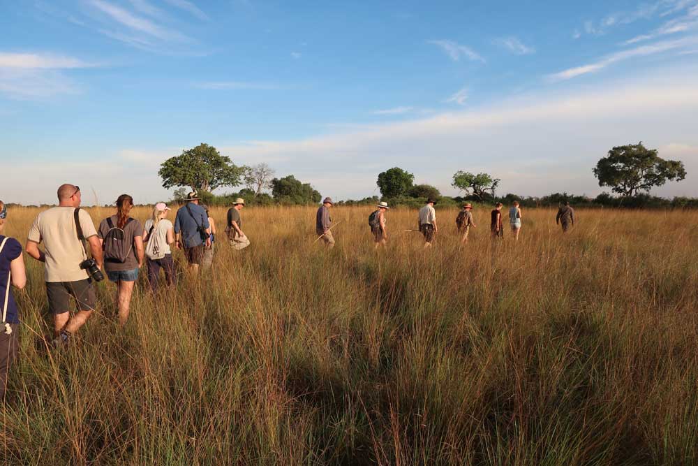 24 daagse Zuid-Afrika Namibië Botswana en Zimbabwe lodge groepssafari