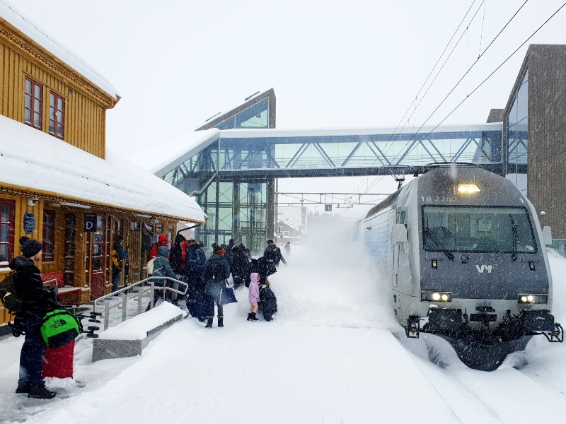 Winterreis Noorwegen met de trein: Huskysafari en fjordcruisen