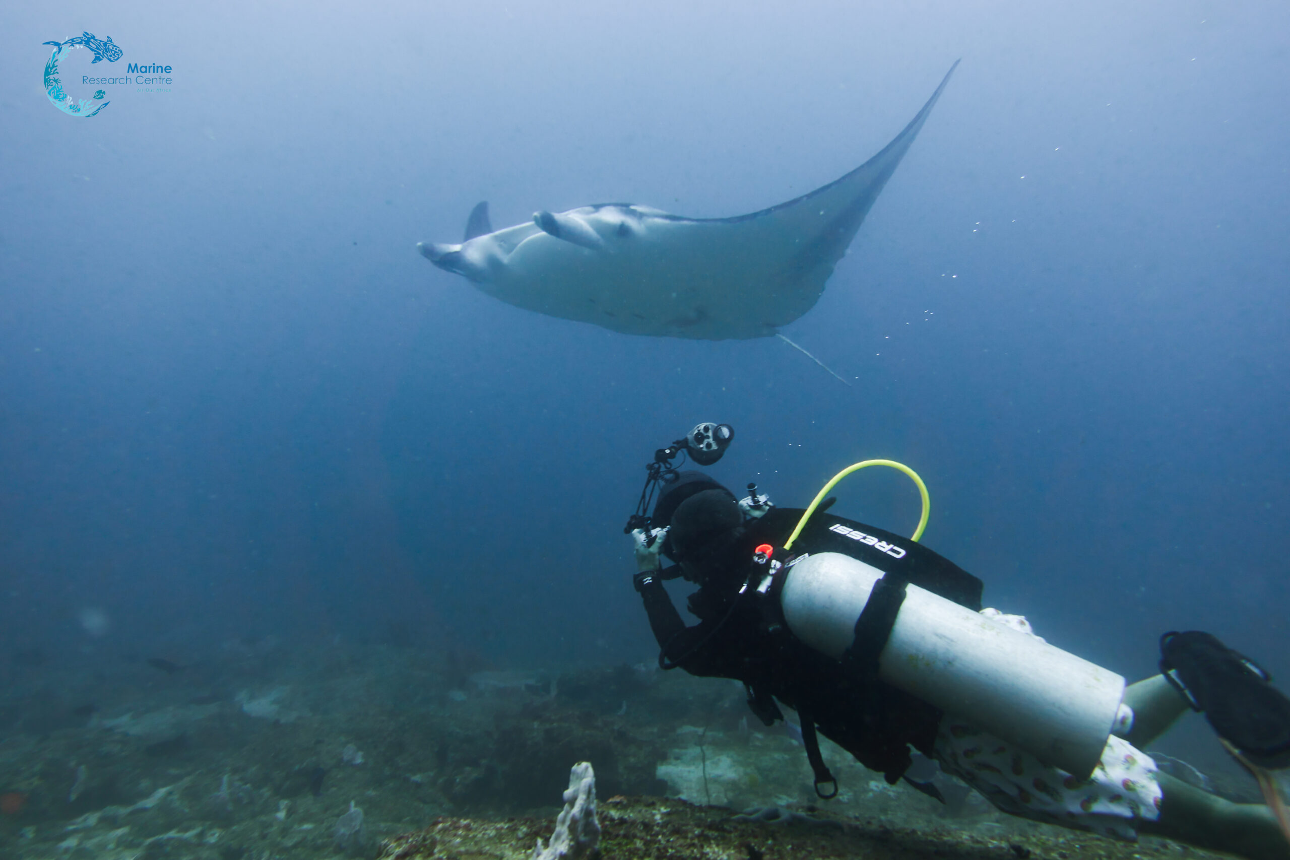 Kruger to Reef