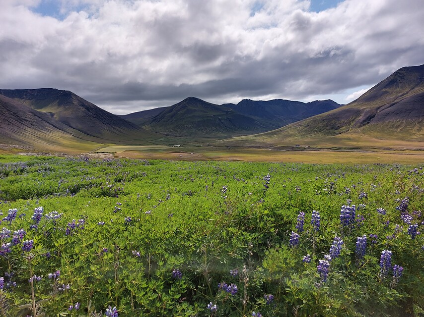 13 daagse  IJsland – West-IJsland