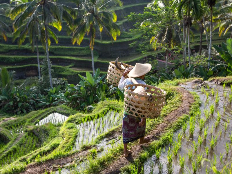 Lagunes, tradities en stranden van Sumba