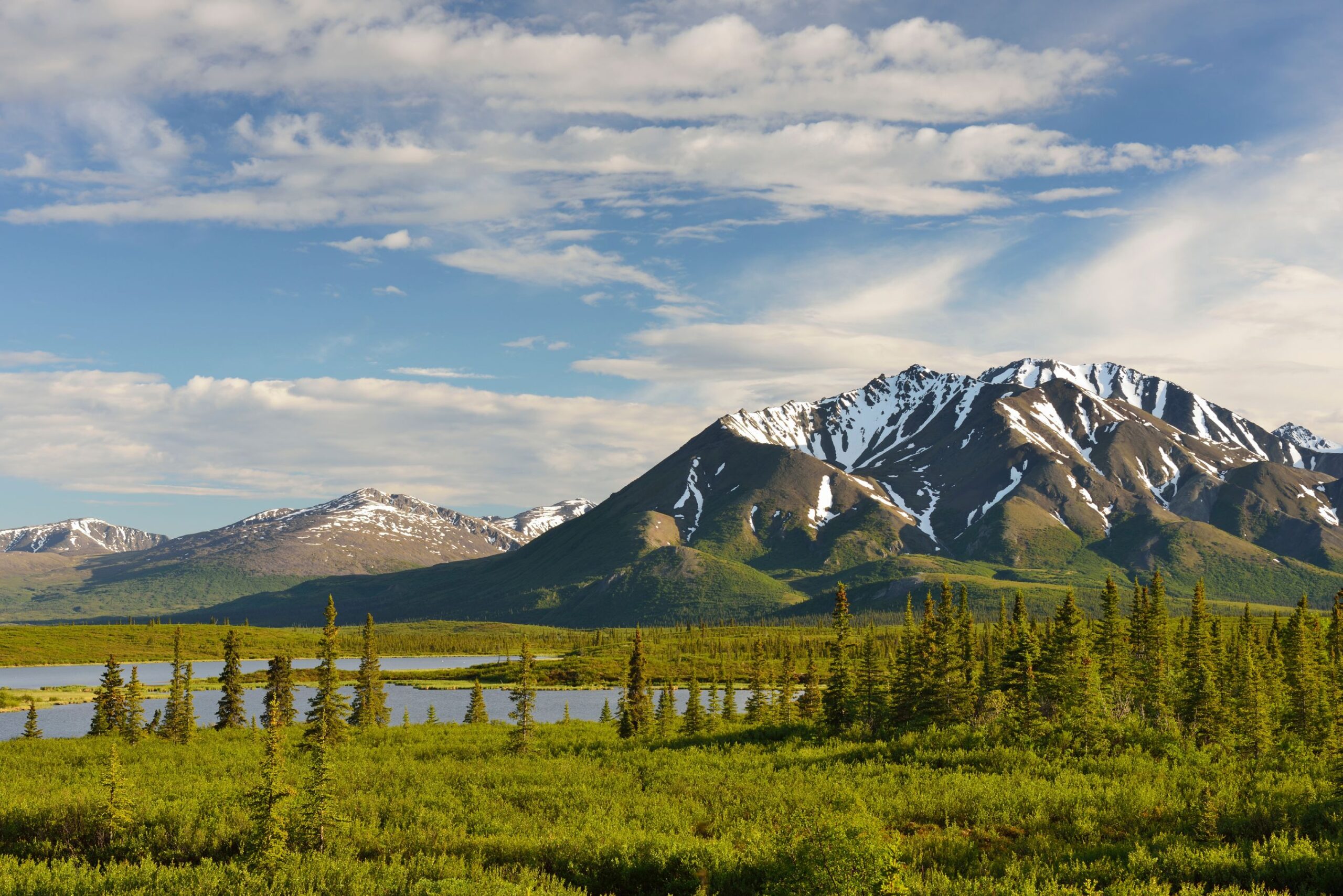 Wildlife en goudzoekers in Yukon en Alaska