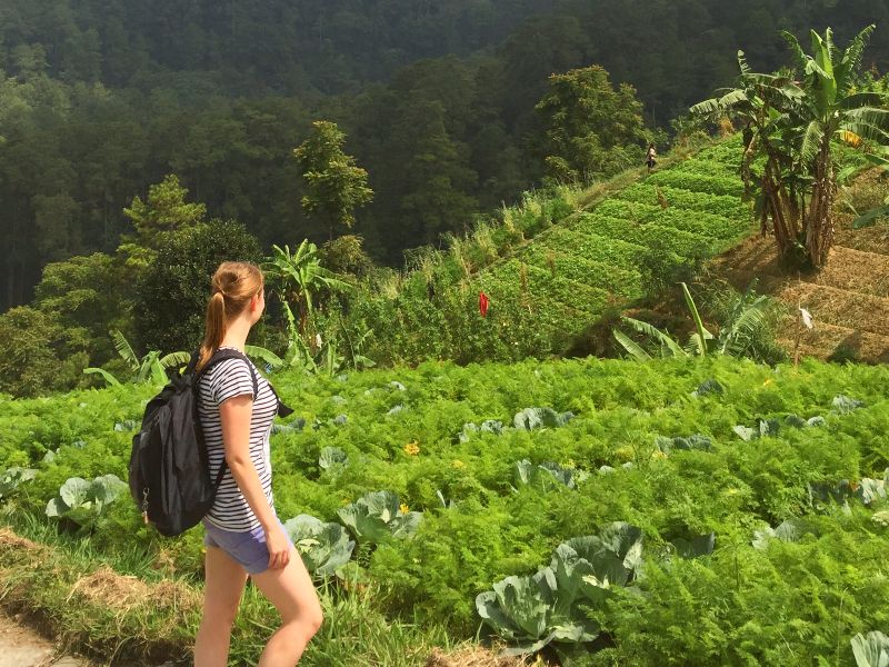 Tempels, Vulkanen en Tropisch Java