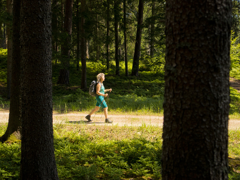 8 daagse  Oostenrijk – Alpenoversteek