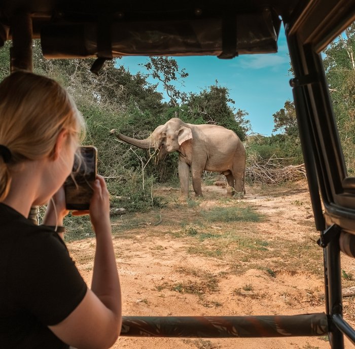 Familiereis Kenia,  Tanzania & Zanzibar 16 dagen