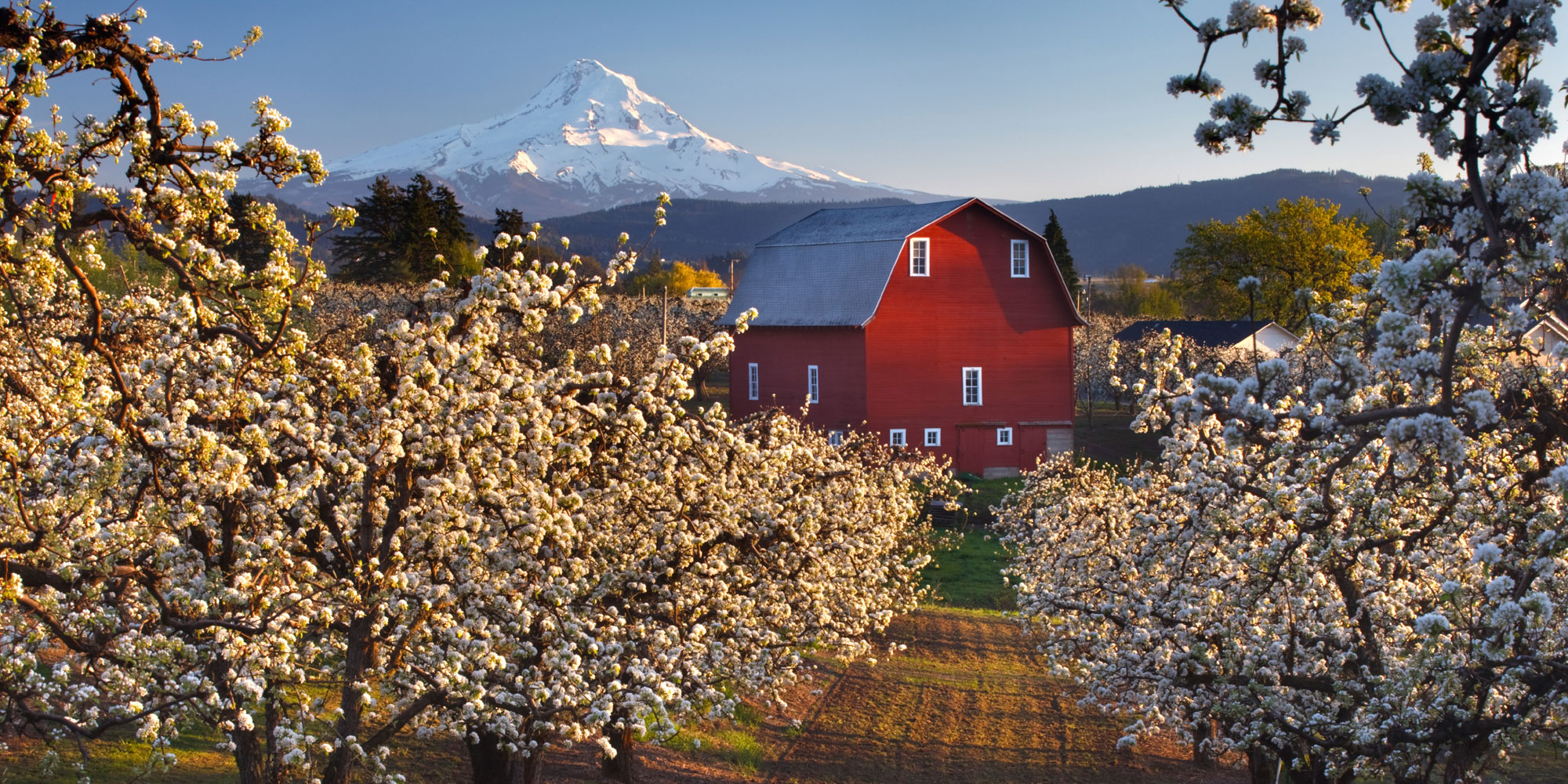 19 daagse  Verenigde Staten – Washington, Oregon & Californië