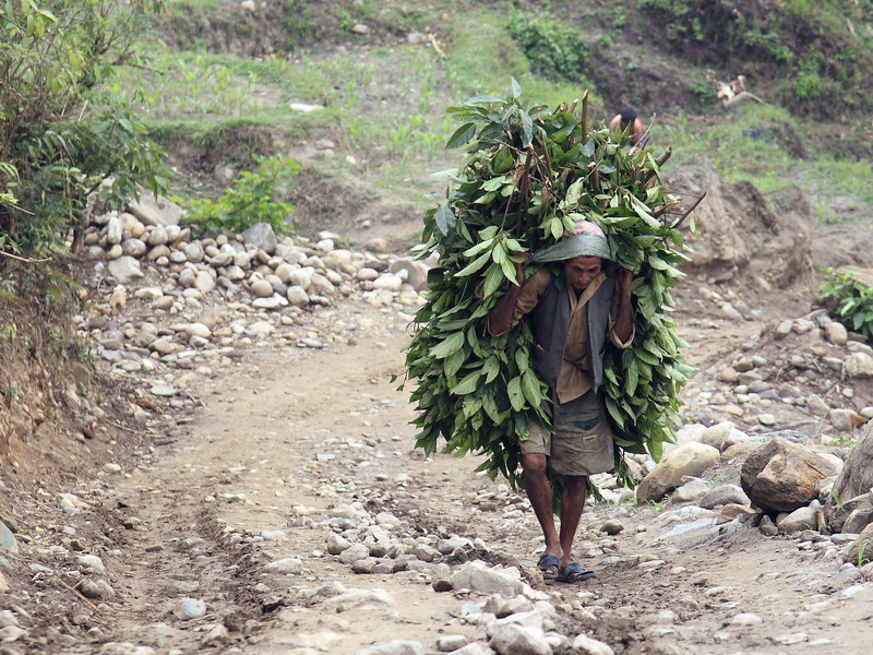 17 daagse  Nepal – Manaslu