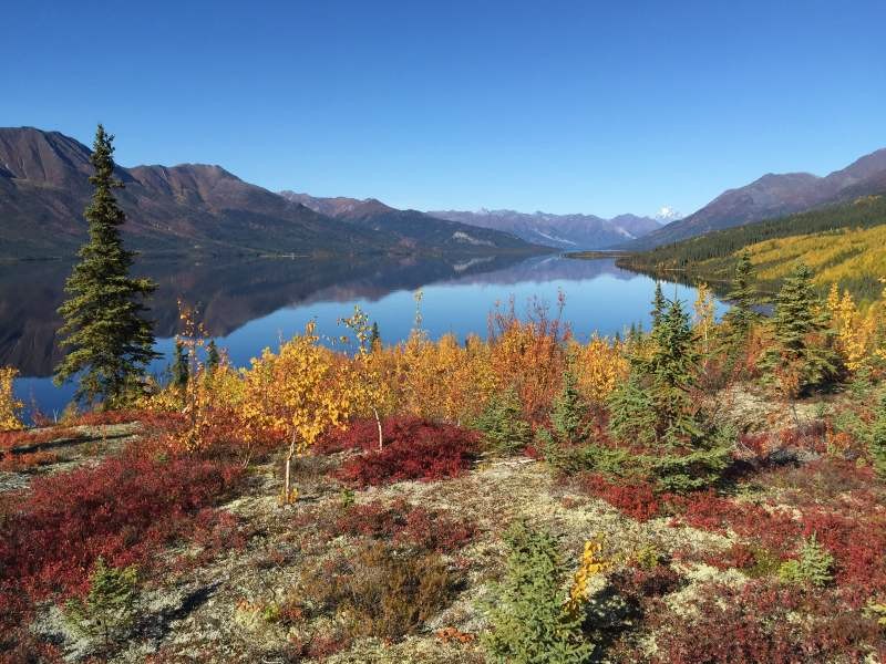 De hoogtepunten van Yukon & Alaska in 3 weken