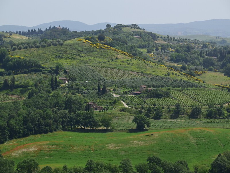 8 daagse  Italië – Toscane-Val d Orcia