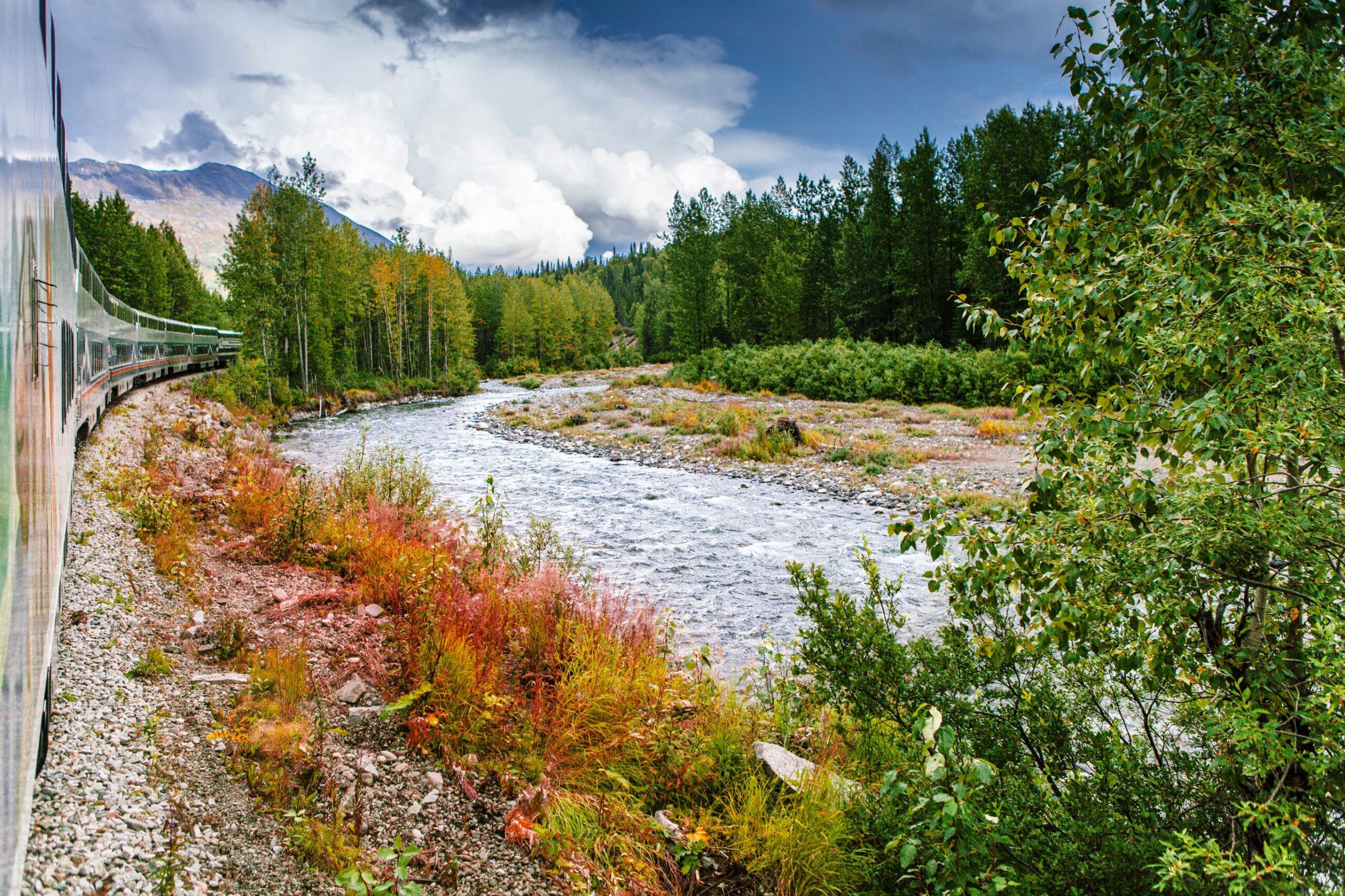 Wildlife en goudzoekers in Yukon en Alaska