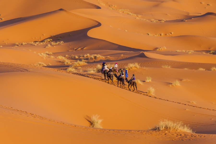 12 daagse  Marokko – Sahara rondreis