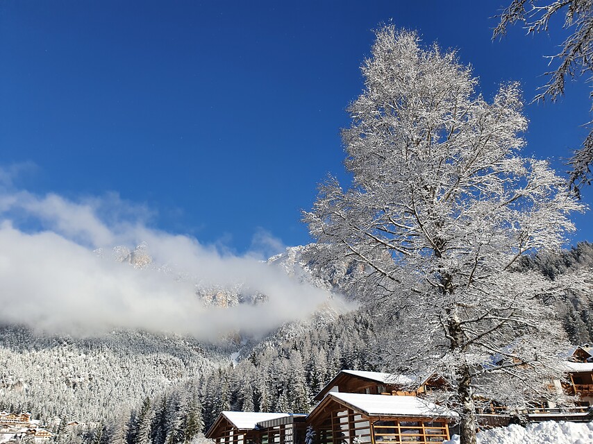 8 daagse  Italië – Südtirol – Rosengarten