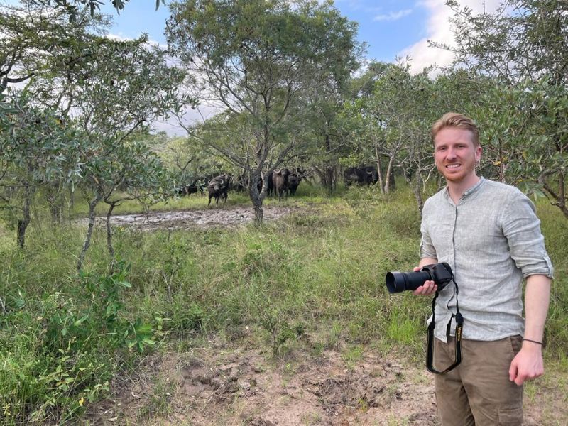 De walvis, de leeuw en het eiland