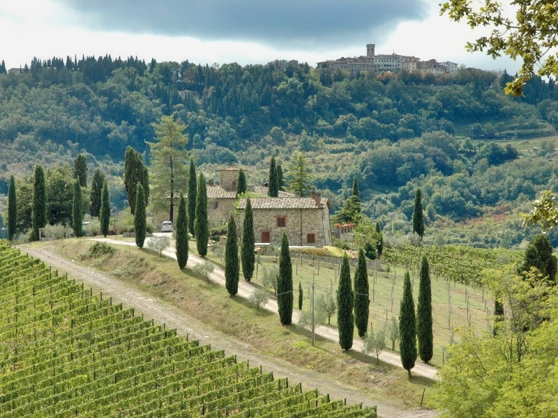 8 daagse  Italië – Toscane-Val d Orcia