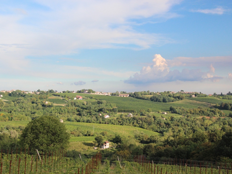 7 daagse  Italië – Veneto