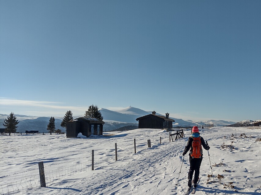 8 daagse  Noorwegen – Rondane