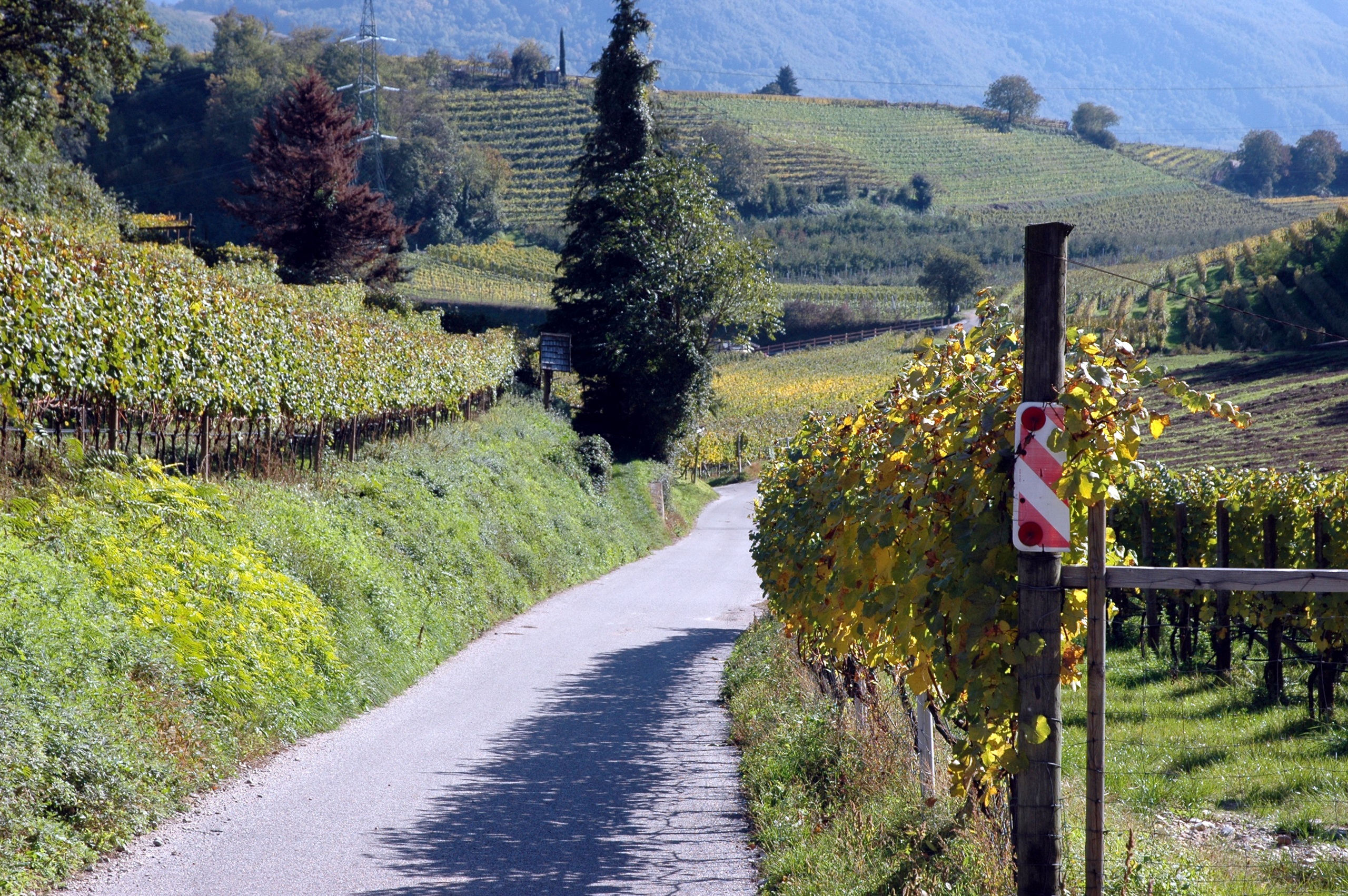 8 daagse  Italië – Südtirol & Trentino