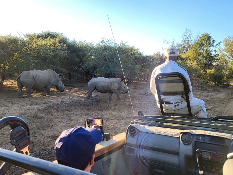 De walvis, de leeuw en het eiland