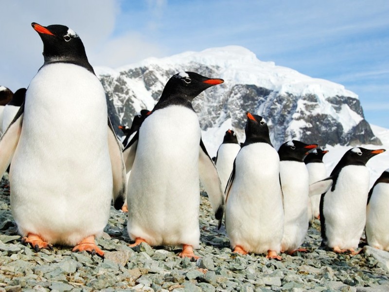 Droomexpeditie naar Antarctica